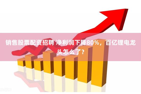 销售股票配资招聘 净利润下降80%，百亿锂电龙头怎么了？