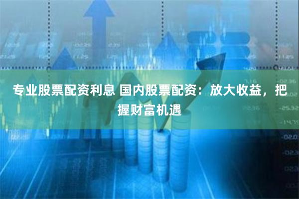 专业股票配资利息 国内股票配资：放大收益，把握财富机遇