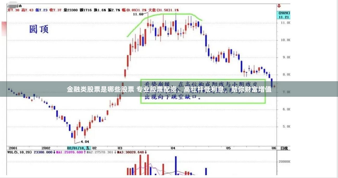 金融类股票是哪些股票 专业股票配资，高杠杆低利息，助你财富增值