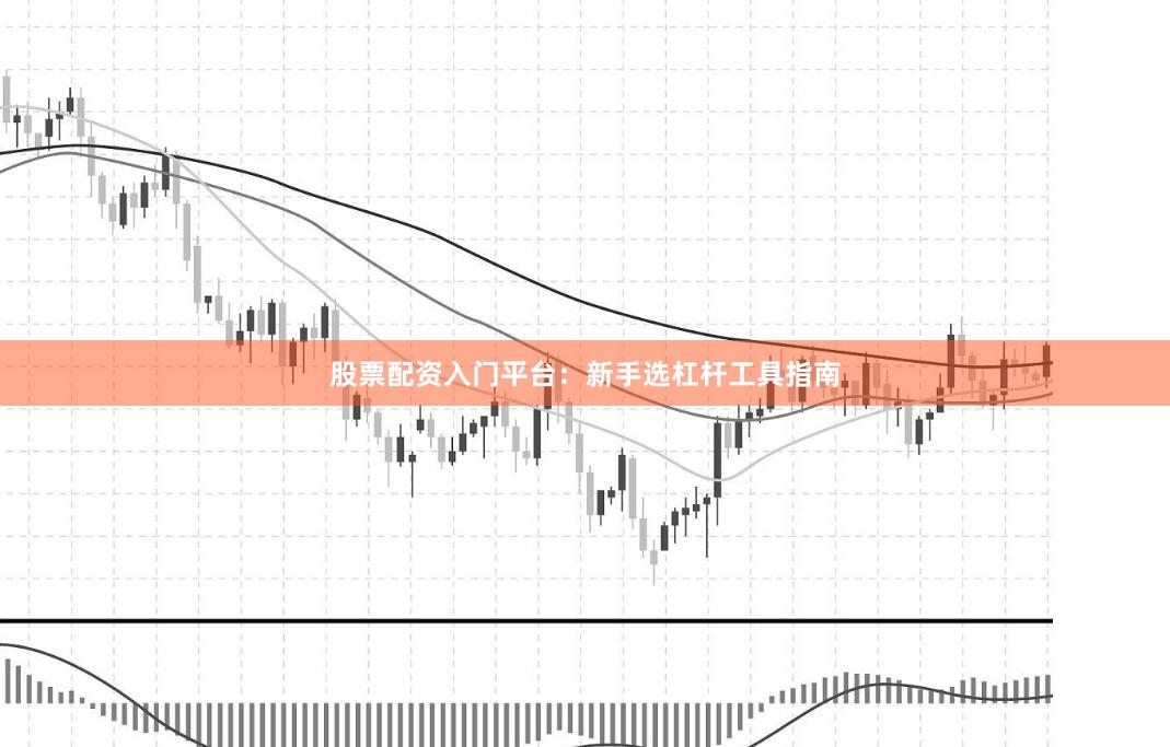 股票配资入门平台：新手选杠杆工具指南