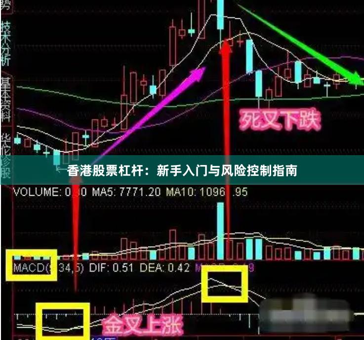 香港股票杠杆：新手入门与风险控制指南